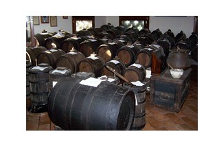 Azienda vinicola