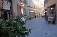 E-commerce, outlet e negozi, verso un testo unico delle norme in Emilia-Romagna