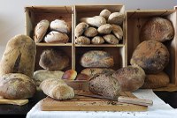 Contributi per la valorizzazione del pane e dei prodotti da forno