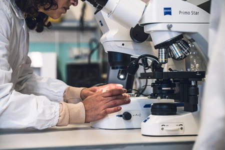 L’Emilia-Romagna rafforza la Data Valley con nuove collaborazioni internazionali