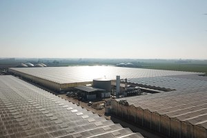 Finanziamento europeo di 31milioni per Fri-el Green House