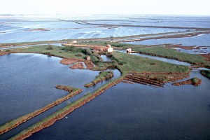 Progetto Value Plus, al via il confronto per il Distretto del Delta del Po