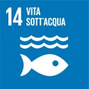 Icone SDG 2018-14.jpg